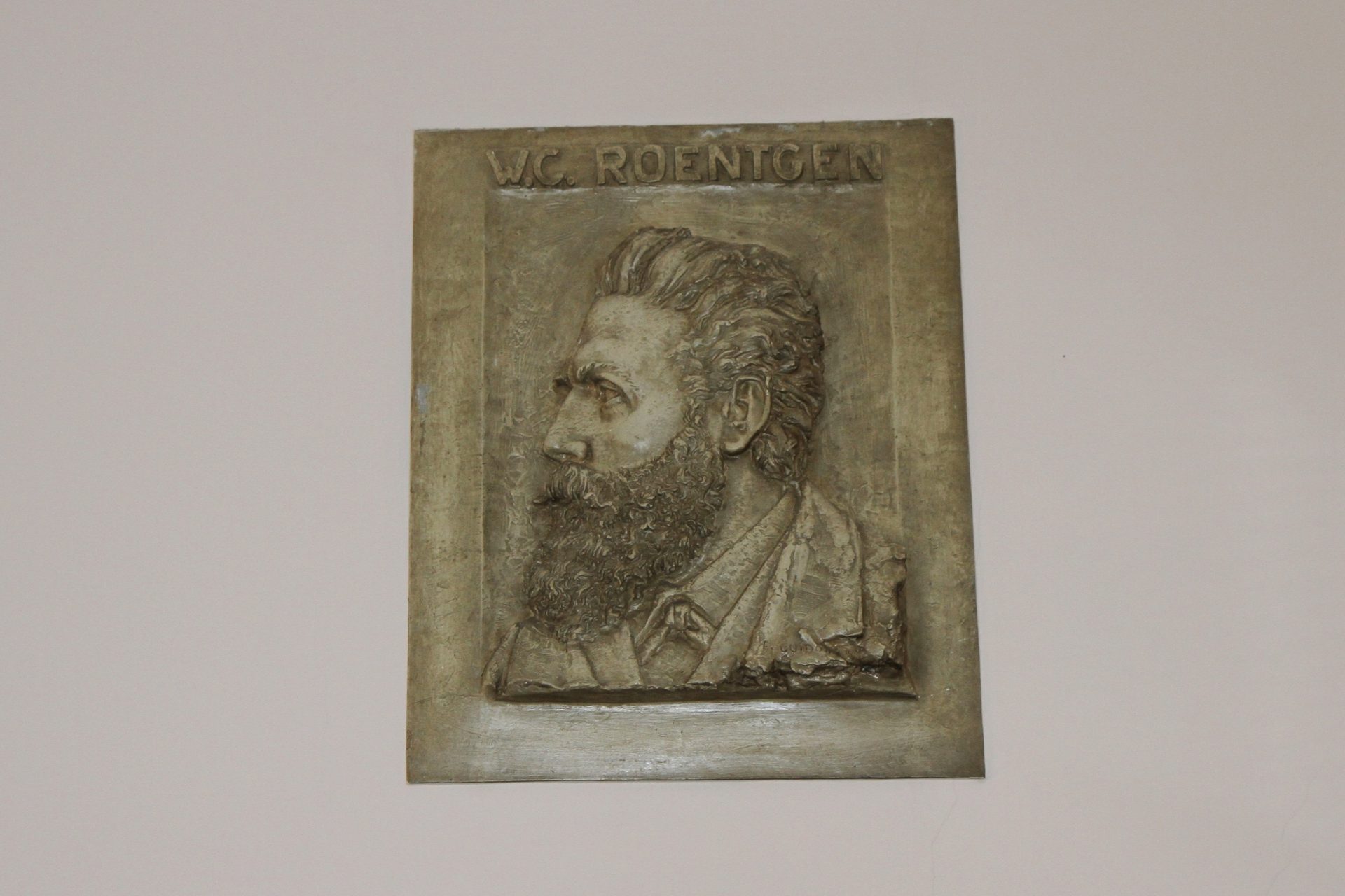 Wilhelm%20Conrad%20Roentgen%20bas-relief%2C%20Radiological%20pavilion%2C%20old%20Ospedale%20Principessa%20di%20Piemonte%2C%20Bergamo%20%284%29.JPG